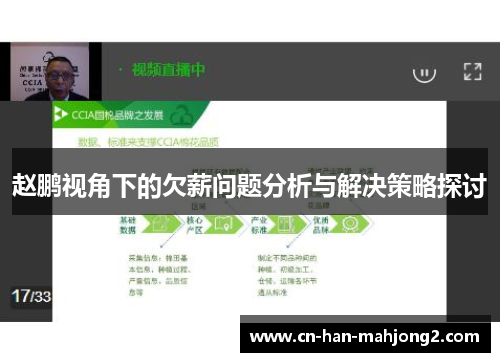 赵鹏视角下的欠薪问题分析与解决策略探讨