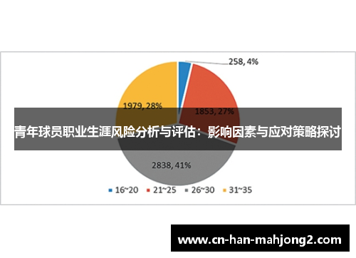 青年球员职业生涯风险分析与评估：影响因素与应对策略探讨