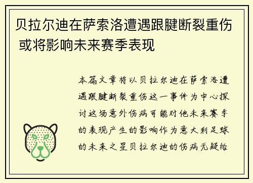 贝拉尔迪在萨索洛遭遇跟腱断裂重伤 或将影响未来赛季表现